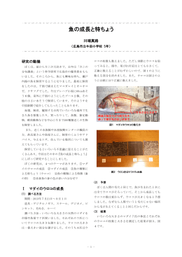 魚の成長と特ちょう