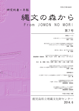 石器石材としての大川原産珪質岩
