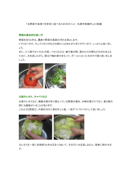 「生野菜や浅漬けを安全に食べるためのポイント 札幌市保健所」より転載