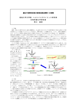 遺伝子変異性疾患の新規治療法開発への挑戦 徳島大学大学院 ヘルス