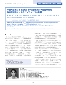 生体内における EGFR T790M 遺伝子変異を持つ 肺腺癌細胞に対する