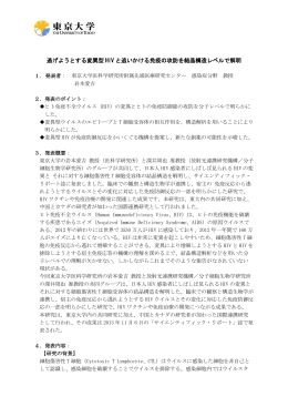 逃げようとする変異型 HIV と追いかける免疫の攻防を結晶構造レベルで