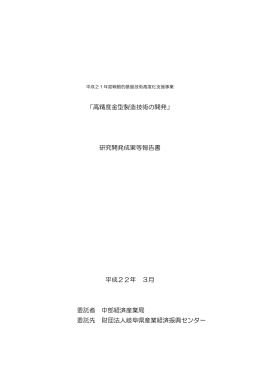 「高精度金型製造技術の開発」 研究開発成果等報告