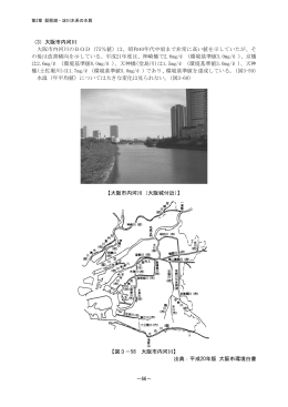 （3）大阪市内河川 大阪市内河川のBOD（75％値）は、昭和40年代中頃