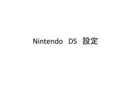 Nintendo DS 設定
