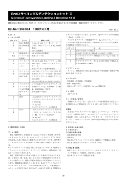 BrdU ラベリング＆ディテクションキット Ⅱ