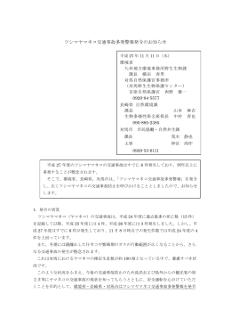 ツシマヤマネコ交通事故多発警報発令のお知らせ