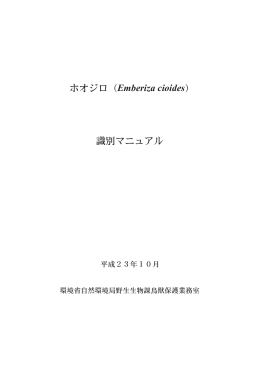 ホオジロ（Emberiza cioides） 識別マニュアル