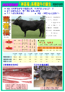 子牛市場に上場始まる 育種価1位をキープ 産子発育良好，高評価