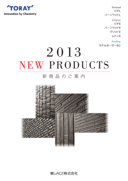 外装材「完壁」の2013年新商品を掲載しました。
