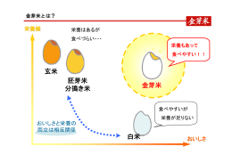 金芽米 白米 胚芽米 分搗き米 玄米