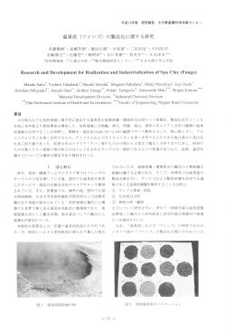 温泉泥 (ファンゴ) の製品化に関する研究