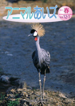 2011年 春 Vol．12－1（PDF：ファイル/648KB）
