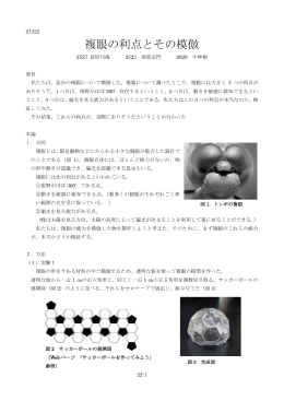 複眼の利点とその模倣