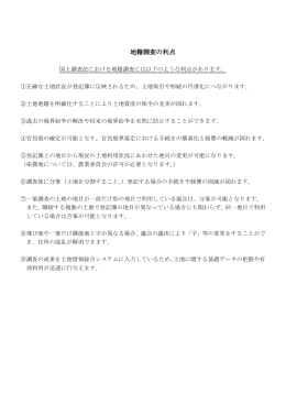 地籍調査の利点