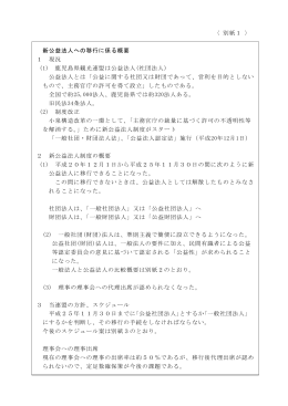 〈 別紙1 〉 新公益法人への移行に係る概要 1 現況 (1) 鹿児島県観光