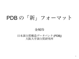 PDB の「新」フォーマット