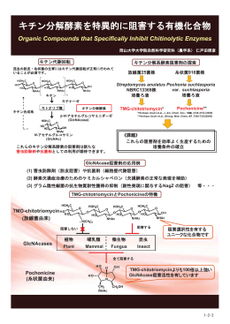 キチン分解酵素を特異的に阻害する有機化合物