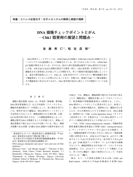 DNA 損傷チェックポイントとがん ―Chk1阻害剤の展望と問題点 ―