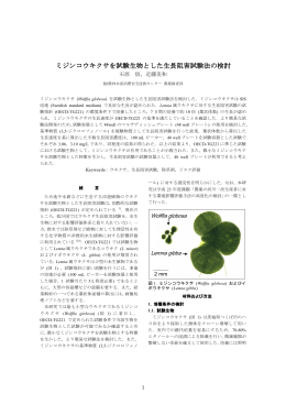 ミジンコウキクサを試験生物とした生長阻害試験法の検討 （PDF:434KB）