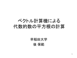 ベクトル計算機による 代数的数の平方根の計算