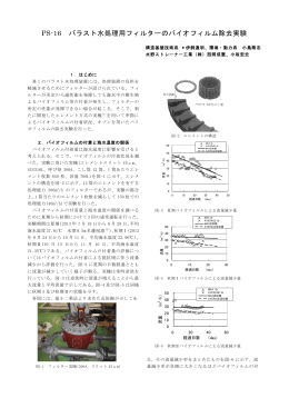 PS-16 バラスト水処理用フィルターのバイオフィルム除去実験