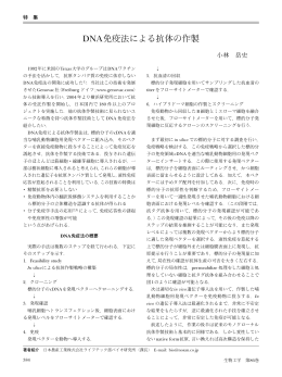 DNA免疫法による抗体の作製