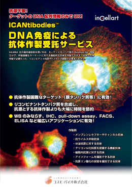 DNA免疫による 抗体作製受託サービス