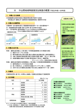 ※ 中山間地域等直接支払制度の概要