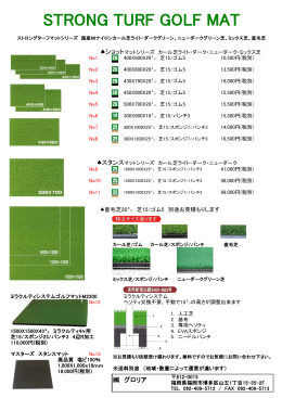 STRONG TURF GOLF MAT