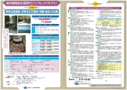 国内募集型企画旅行モデルパンフレット