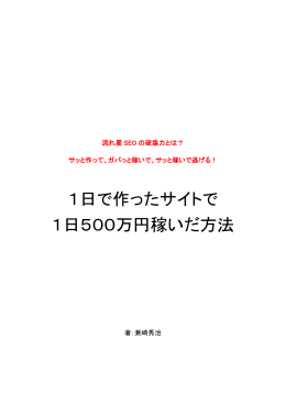1日で作ったサイトで 1日500万円稼いだ方法