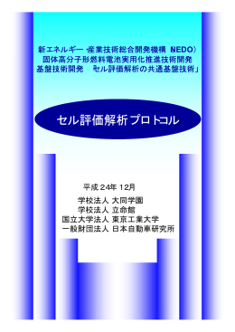 セル評価解析プロトコル - 新エネルギー・産業技術総合開発機構