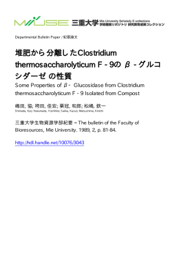 ファイルを開く - MIUSE