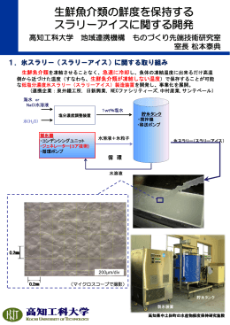 生鮮魚介類の鮮度を保持する スラリーアイスに関する開発