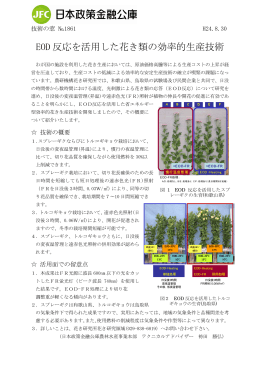 EOD 反応を活用した花き類の効率的生産技術