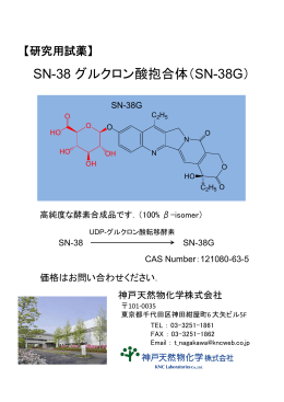 SN-38 グルクロン酸抱合体（SN-38G）