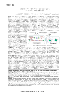 23. 飯島道弘、Ulkoski David、Scholz Carmen