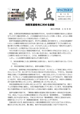 特別支援教育に対する誤解