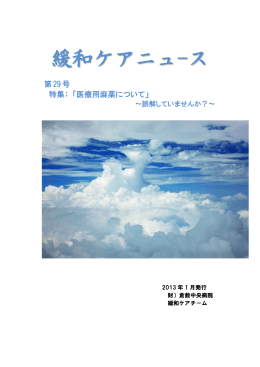 VOL.29 (2013.1)