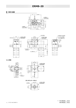 ERMB-20