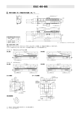 EGC-80-BS