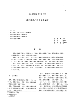 都市流域の洪水流出解析
