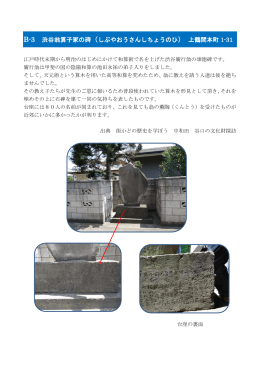 B-3 渋谷翁算子冢の碑（しぶやおうさんしちょうのひ） 上鶴間本町 1-31