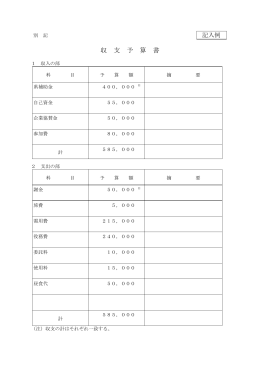 収 支 予 算 書