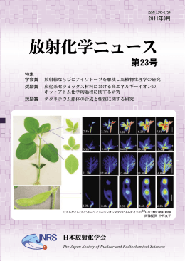 特集 学会賞 放射線ならびにアイソトープを駆使した植物生理学の研究