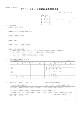 （平成27年度） 神戸ドリームキャッチ支援資金融資事業計画書（PDF形式