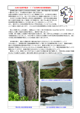 九州の自然学散歩－11｢日向岬の柱状節理海岸｣