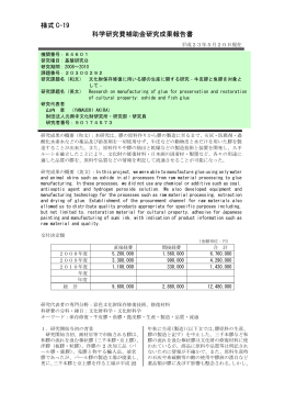 様式 C-19 科学研究費補助金研究成果報告書 - KAKEN