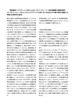 窒素置換へテロフラーレン内包によるカーボンナノチューブ n 型伝導機構